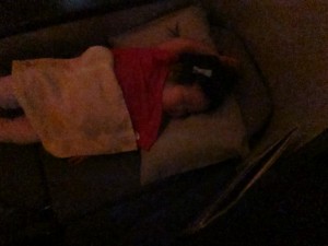 The difference between a lie-flat bed and laying a toddler down in coach is you still have somewhere to sit, sorta