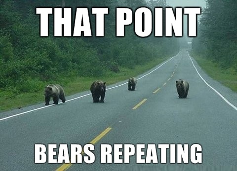 bears-repeating.jpg