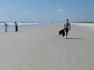 Little Talbot Island State Park: file miles of beach like this