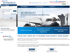SkyBonus Landing Page