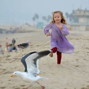 Cult Child Chasing Gull