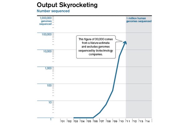 output_skyrocketing