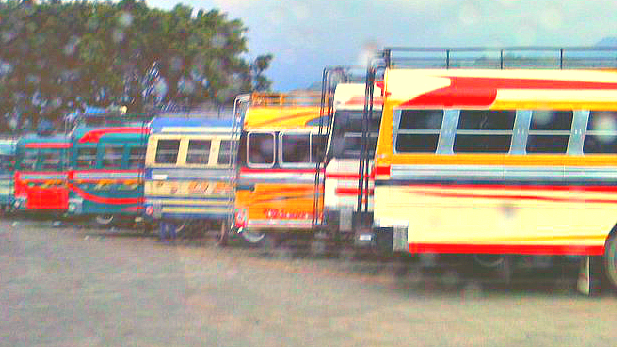 Safe travel with kids: Chicken Buses in Antigua, Guatemala were fun to look at, but there's no way I'm putting my kids on one. 