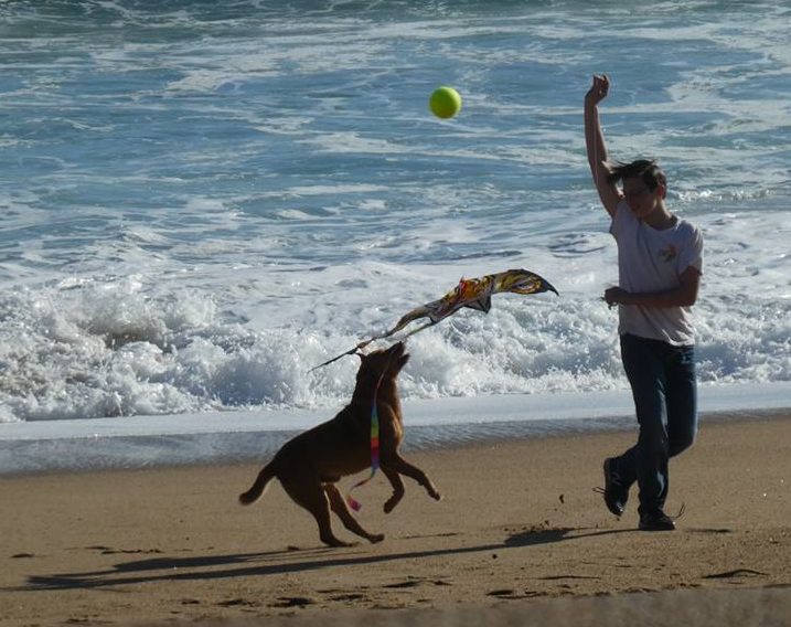 Long term family travel: Deal Kid makes a friend. Renaca, Chile, July 2017