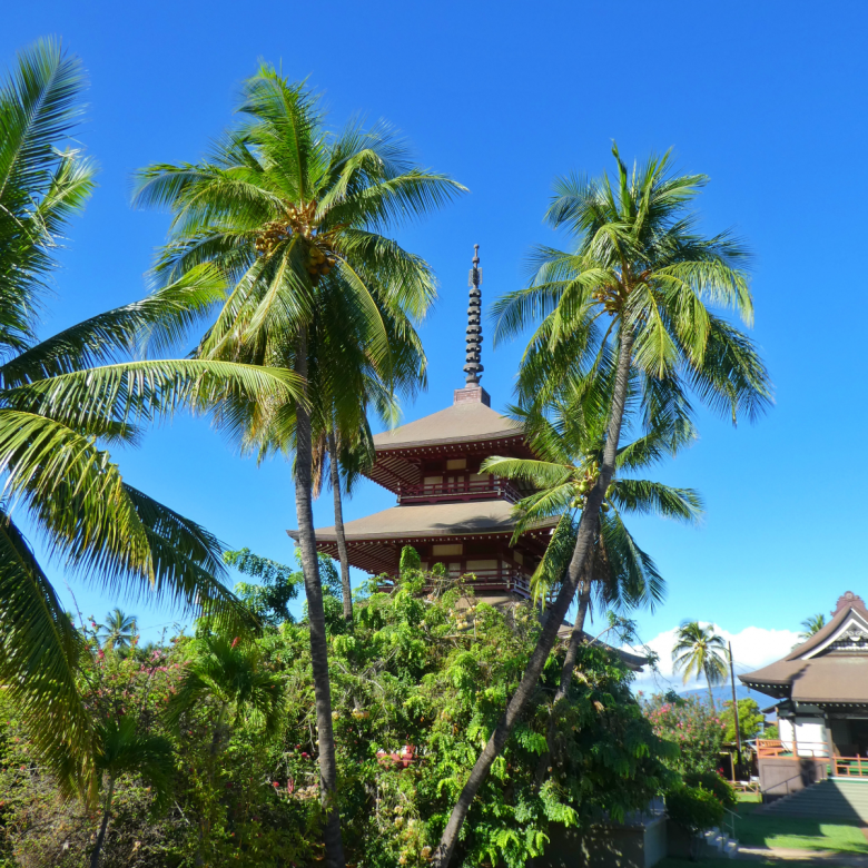 Why we need Hawaii right now: Jodo Buddhist Mission in Lahaina, Maui.