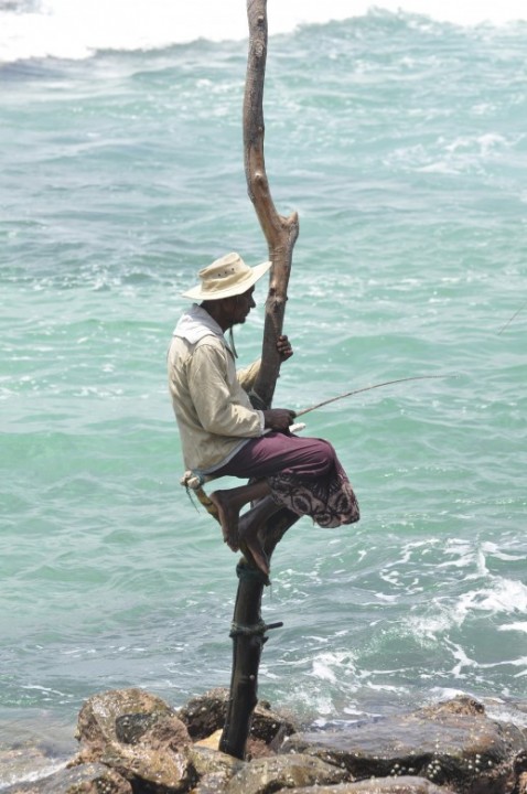 Stilt fishermen of Weligama, Sri Lanka